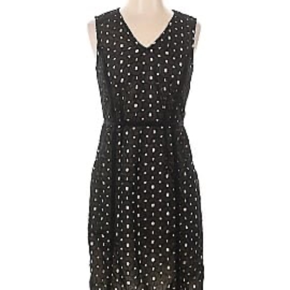 NWOT The Limited Black and Nude Lace Eyelet Dress Size 6